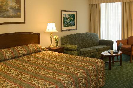Hotel Carlingview Toronto Airport Mississauga Rum bild